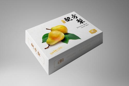 特色產(chǎn)品包裝設(shè)計到印刷制作的一體化整合 以無脊椎動物主題為例