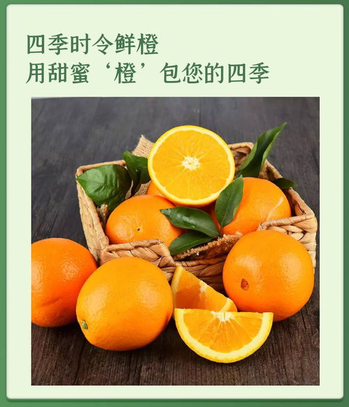 秭歸臍橙 當季新鮮味美，健康營養(yǎng)之選